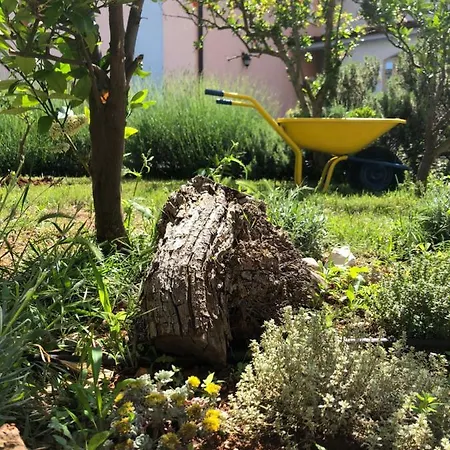 Apartamento Ida *