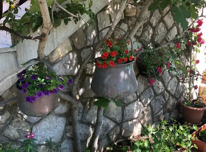 Apartments Ida Cres Cres