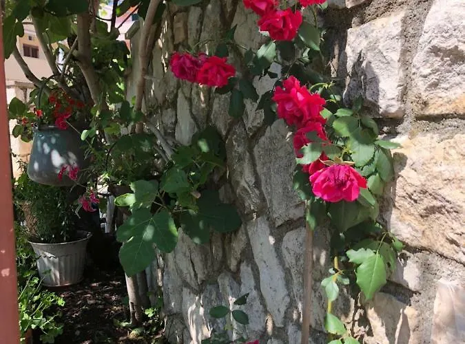 Apartment Apartments Ida Cres Cres